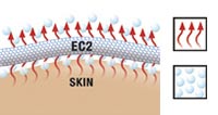 ec2 Skin diagram